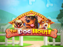 The Dog House